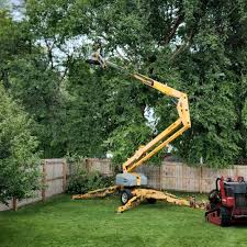 Best Tree Preservation Services  in Middletown, CA