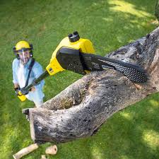 Best Sod Installation  in Middletown, CA